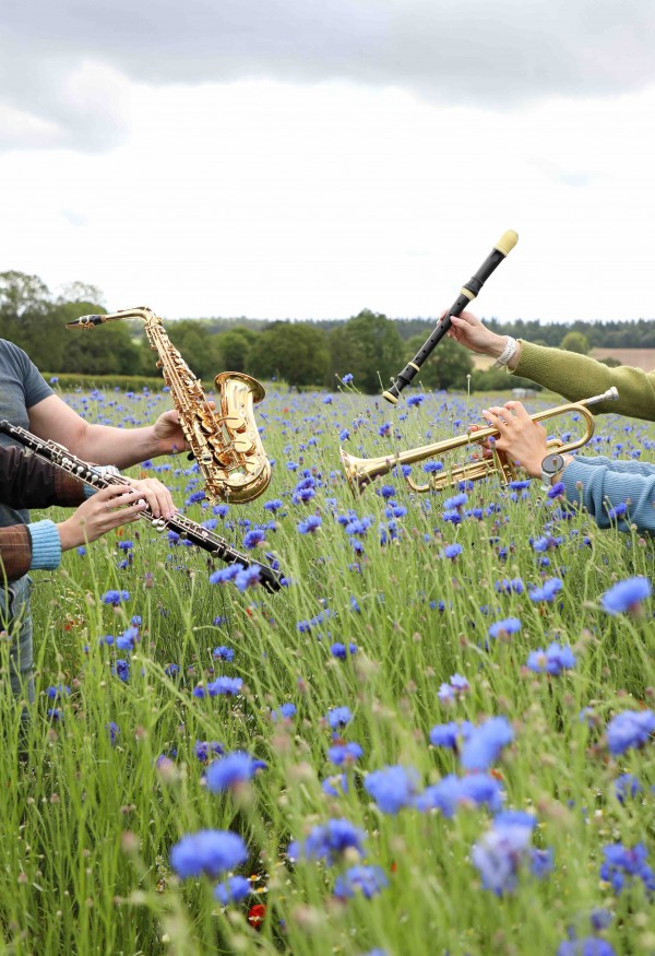 Proms In The Petals